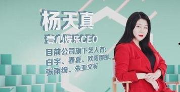 明星经纪人主要做什么,幕后操盘手的日常职责与挑战